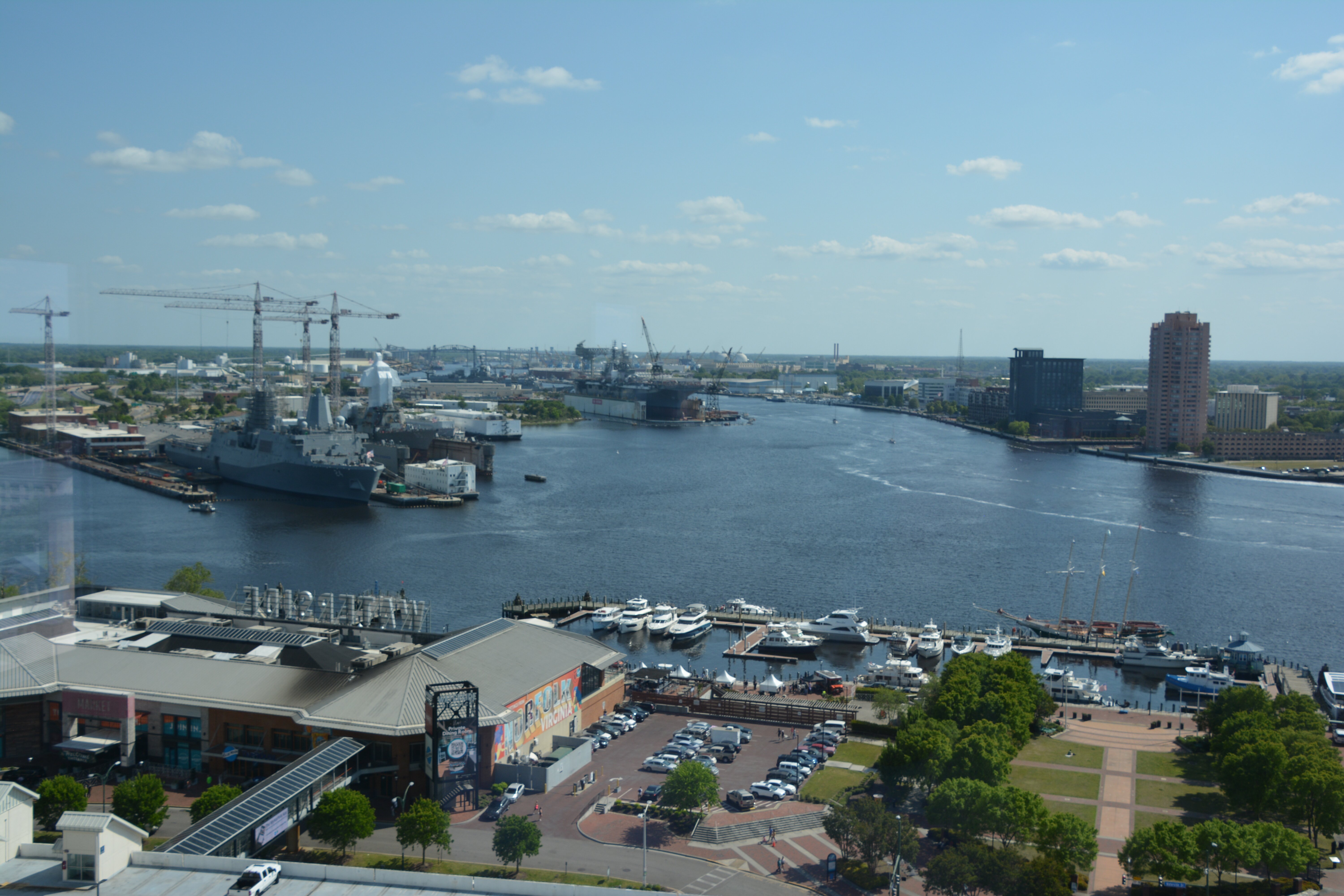 Hilton Norfolk The Main-酒店景观