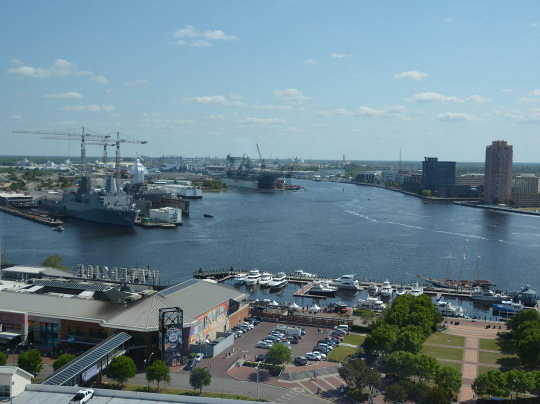 Hilton Norfolk The Main主图