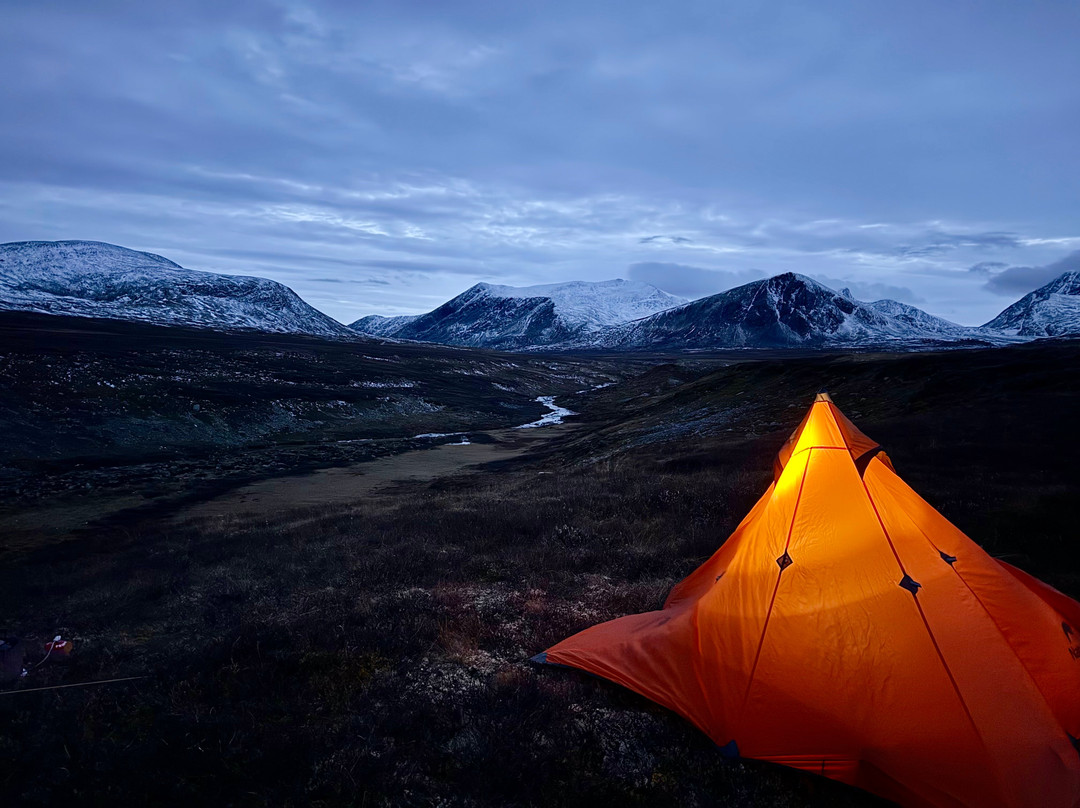 Oppdal Safari-Oppdal必去景点