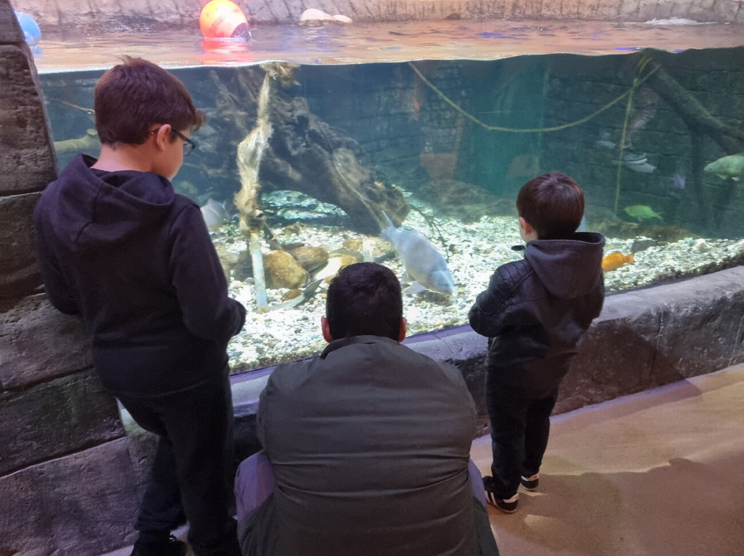 SEA LIFE Konstanz-康士坦茨必去景点