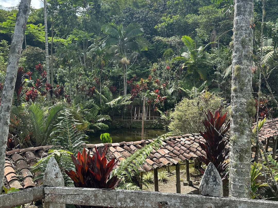 Eco Hotel Los Lagos主图