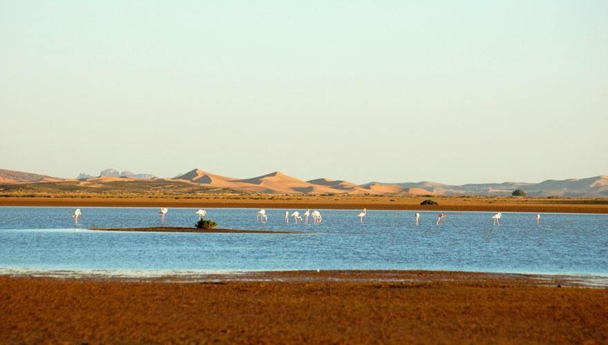 Multi Morocco Tours-瓦尔扎扎特必去景点