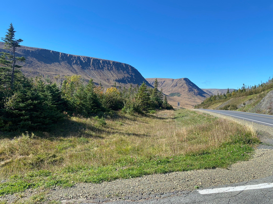 Gros Morne Transportation & Tours景点图片