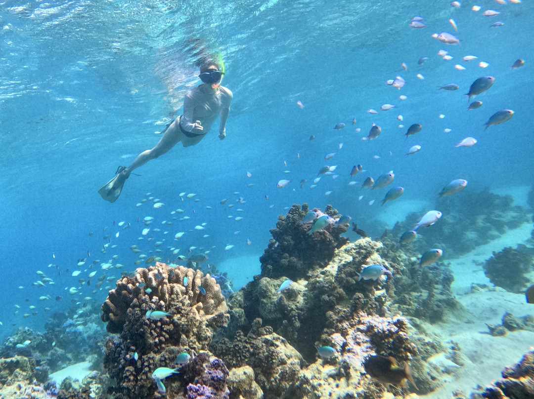 Mermaid Private Boat Tours-莫雷阿岛必去景点