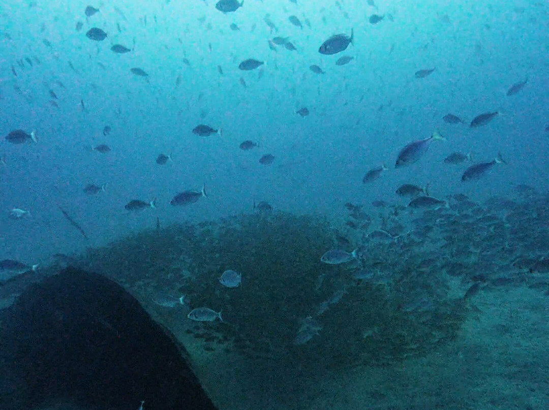 Nautico Diving Center-阿尔吉内金必去景点