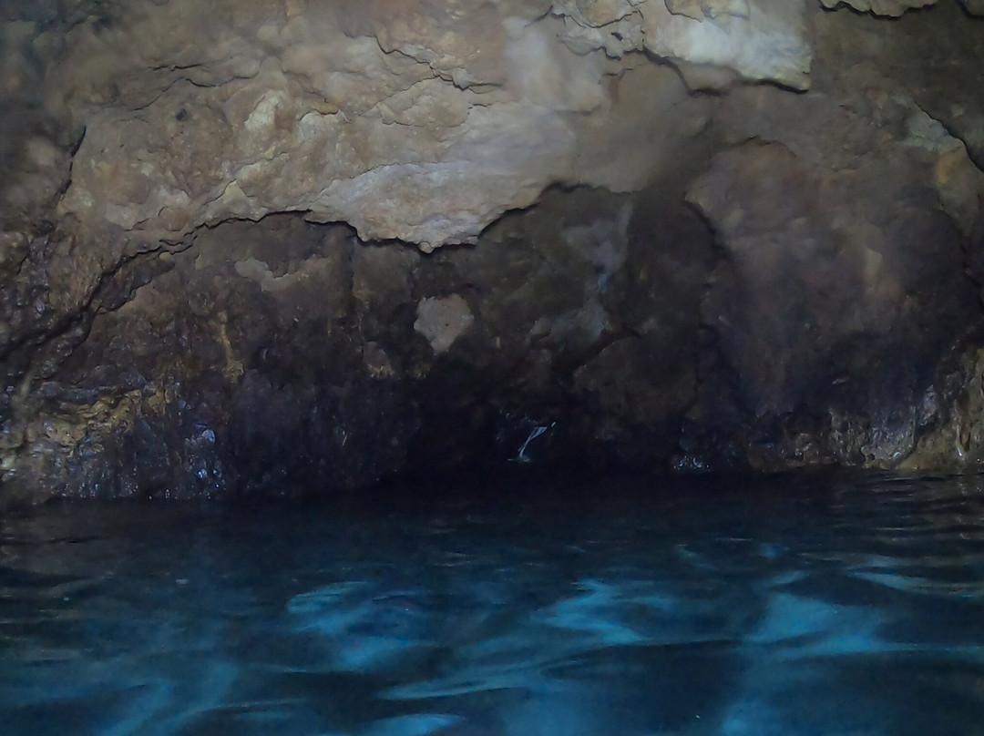Royal Octopus DIVE CENTER景点图片
