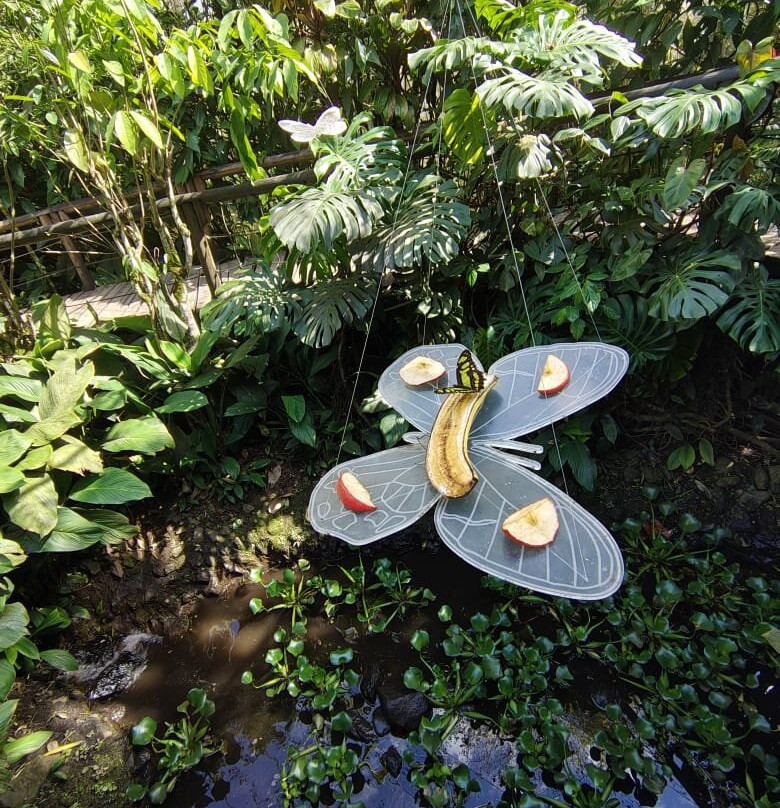 Jardín Botánico del Quindío景点图片