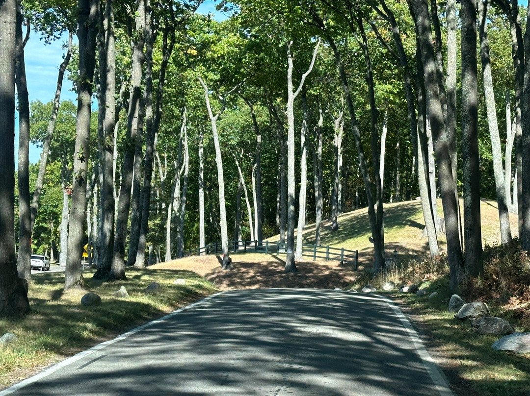 Tunnel of Trees - M119-Harbor Springs必去景点
