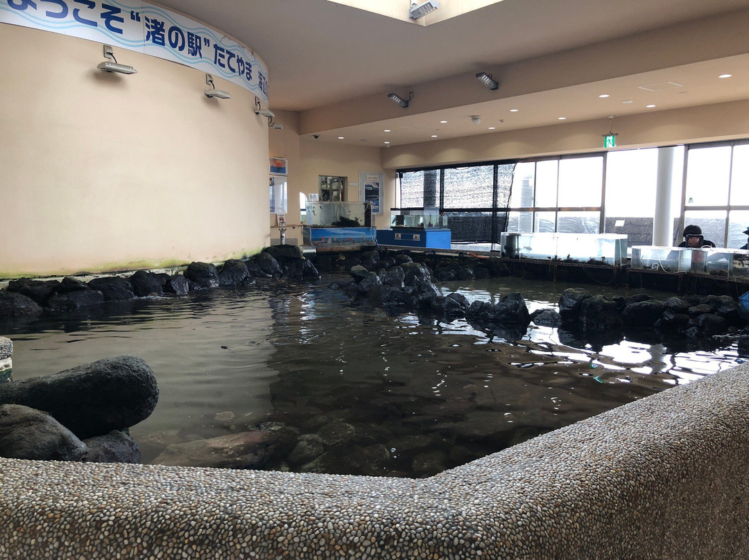 Shore Station Tateyama-馆山市必去景点