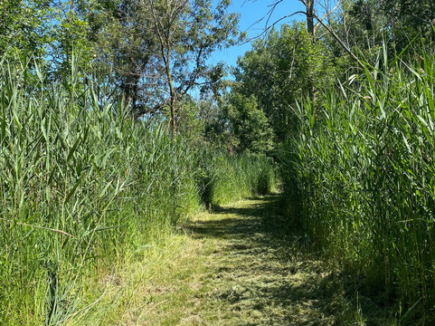 East Harbor State Park-Marblehead必去景点