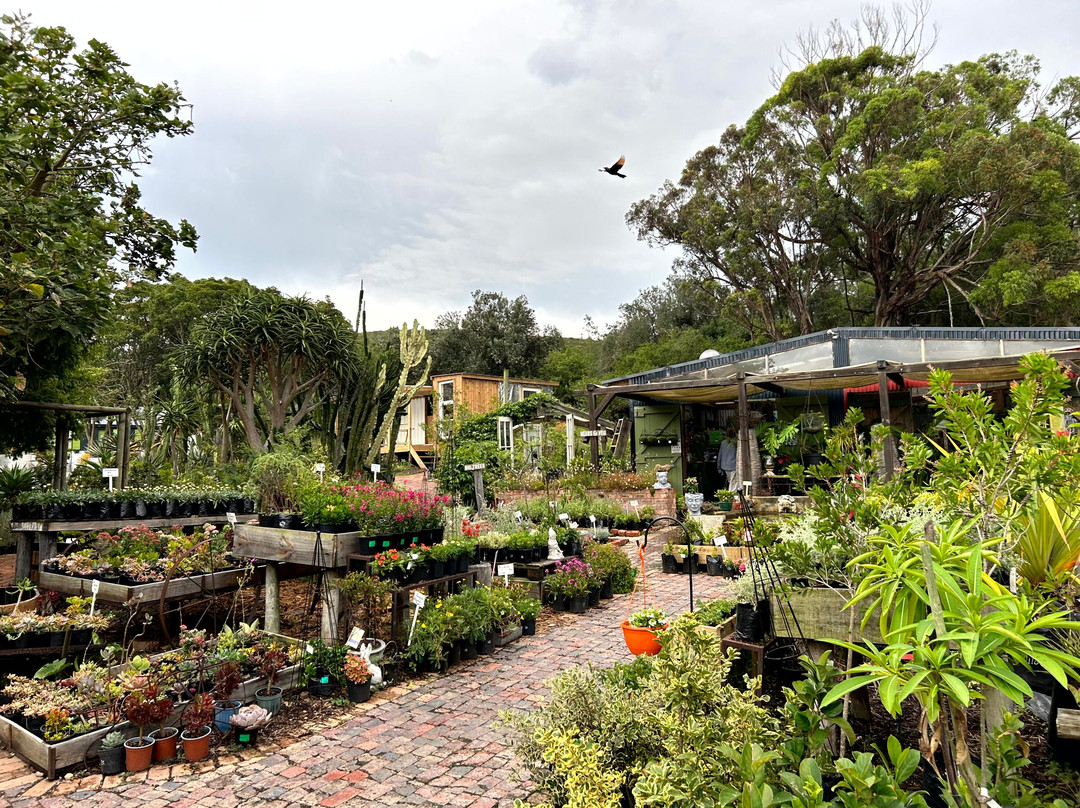 Old Nick Village-普利登堡湾必去景点