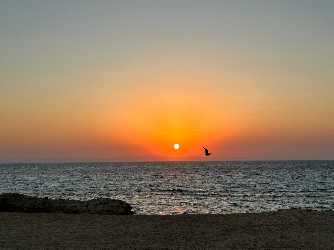 Kite Tribe Red Sea, Egypt-艾高娜必去景点