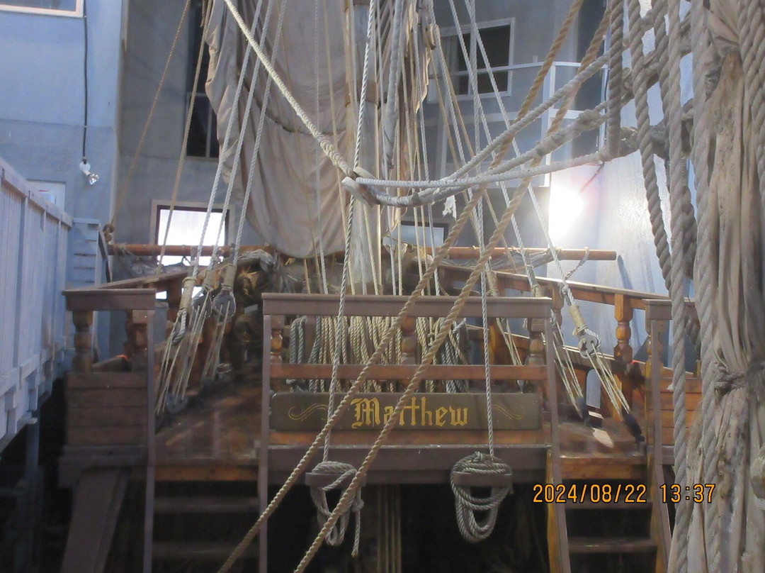 Matthew Legacy-Bonavista必去景点