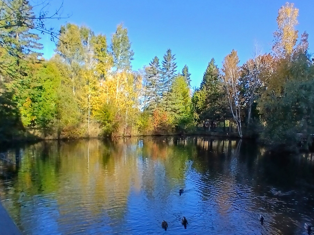 Horseshoe Falls-缪尼辛必去景点