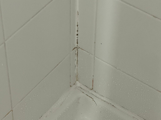 纽波特纽斯假日酒店及套房主图