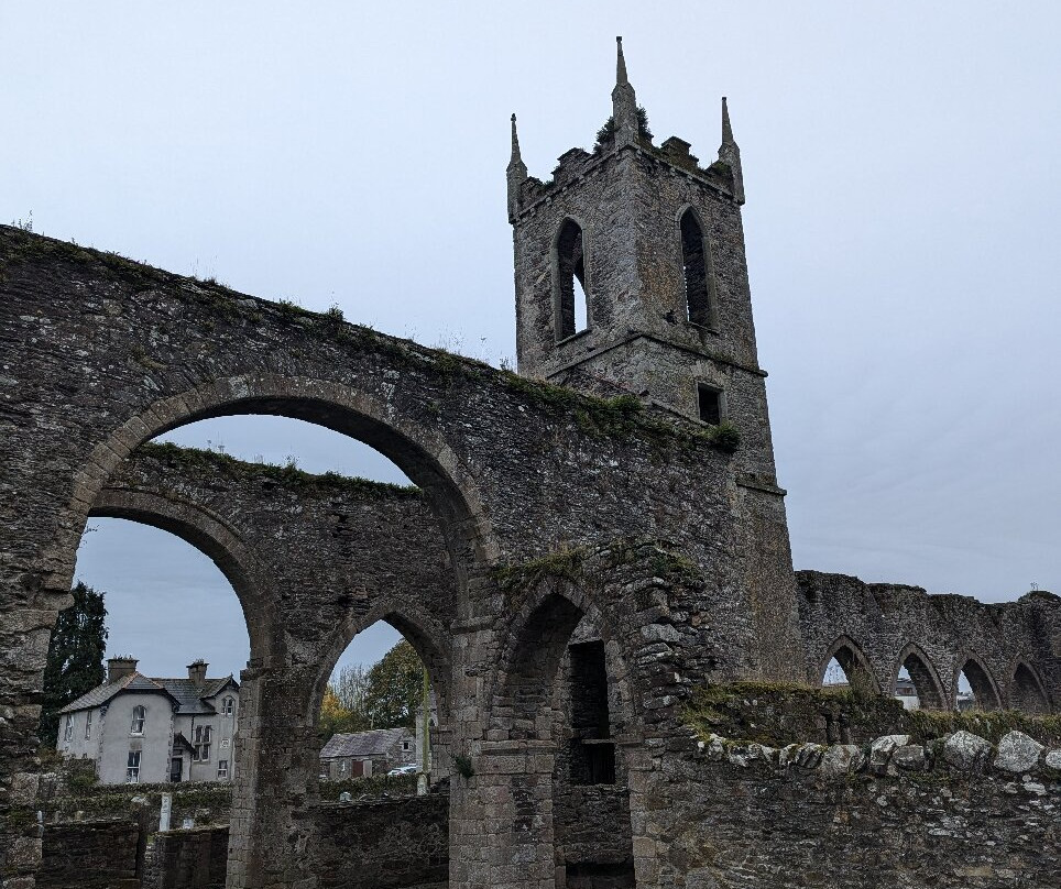 Baltinglass Abbey-Wicklow必去景点