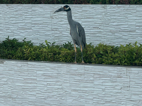 Tropica Ganja Tours & Excursions-奥乔里奥斯必去景点