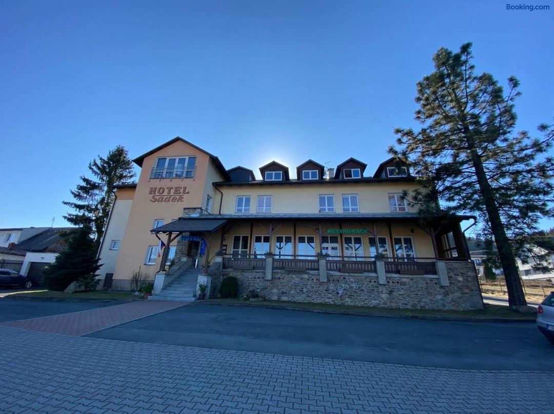 沙迪克酒店