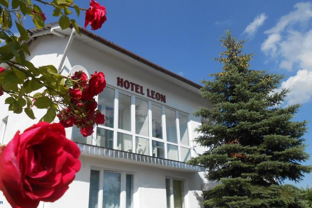 Hotel Leon