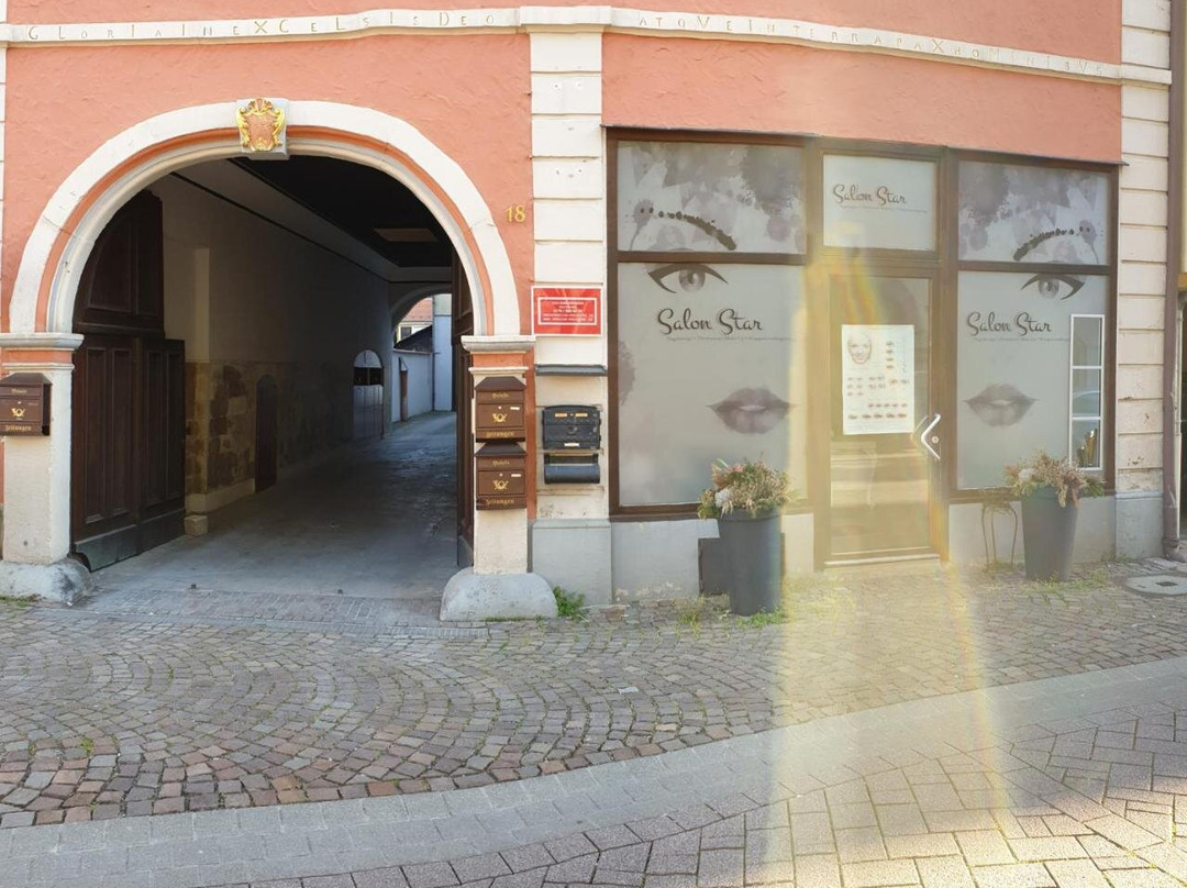 弗里特施公寓酒店