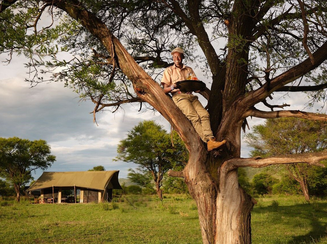 Africa Eco Expeditions Camp at Lobo Valley景点图片