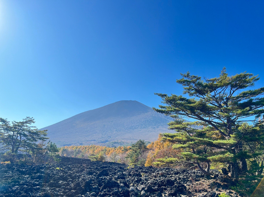 Mt. Iwate Yakehashiri Lava Flow-八幡平市必去景点