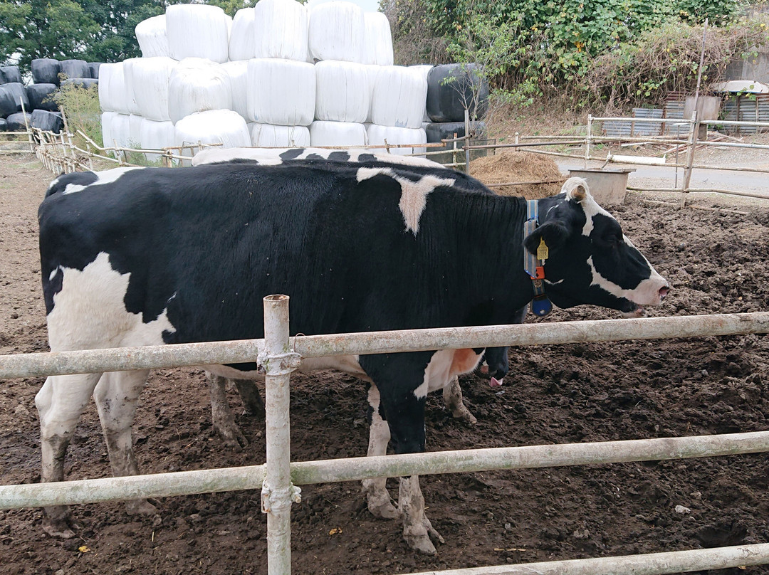 Enomoto Diaryfarm-上尾市必去景点