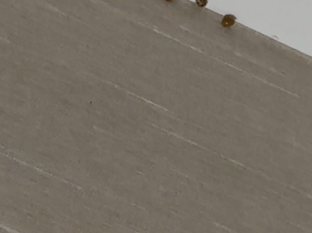 Hampton Inn & Suites By Hilton Nashville North Skyline主图