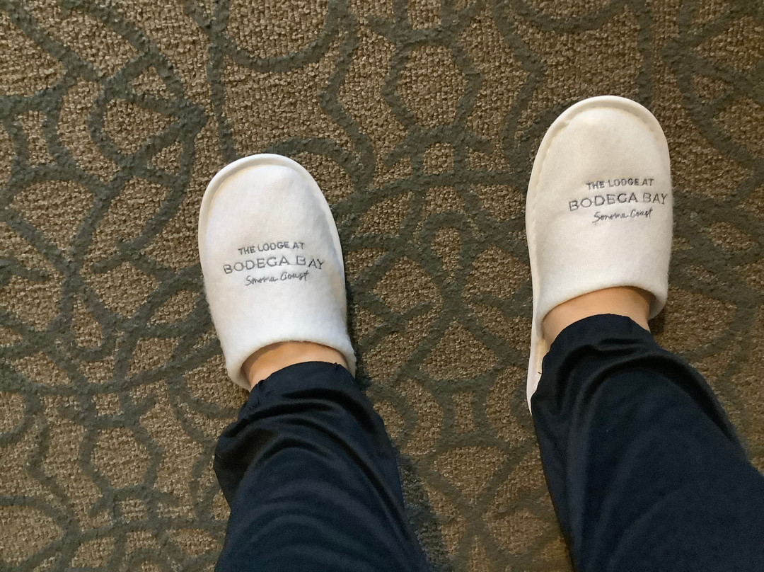 The Lodge At Bodega Bay主图