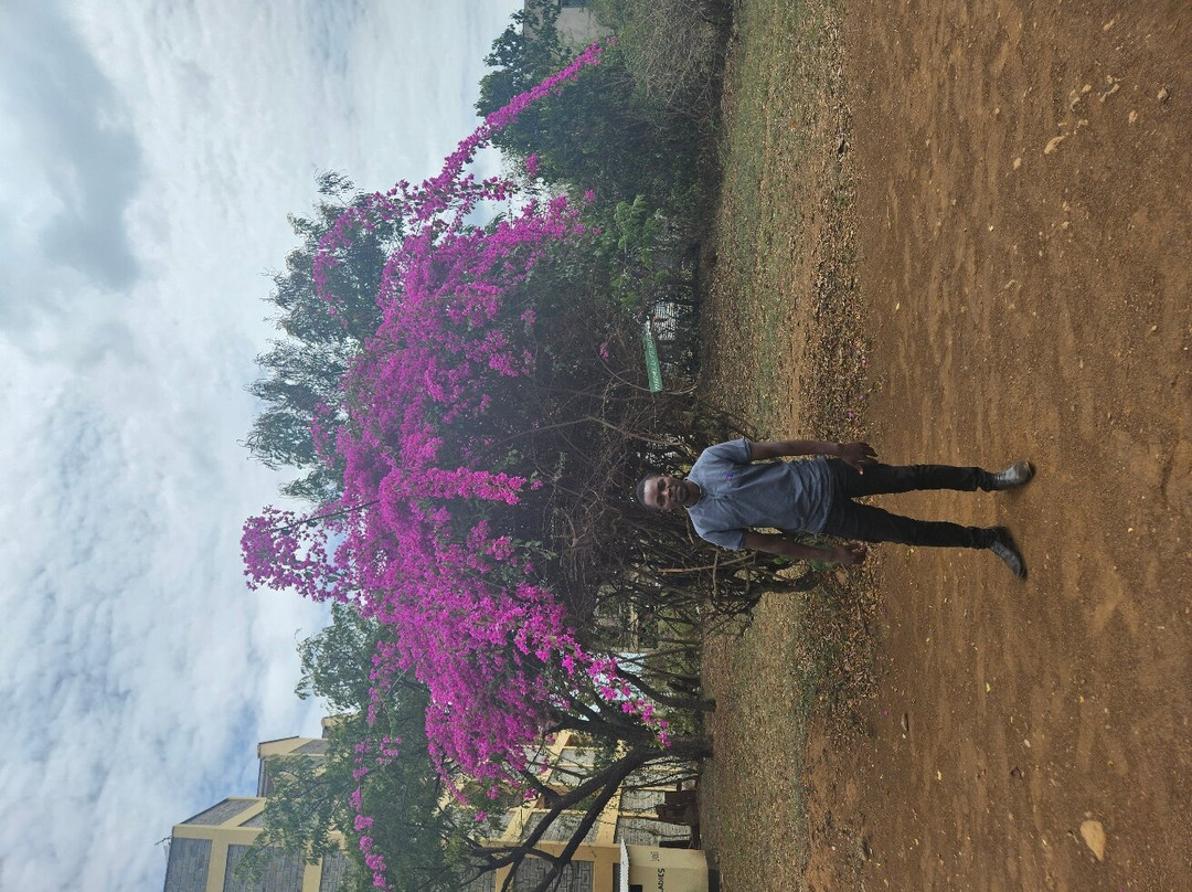 Kisumu museum-基苏木必去景点