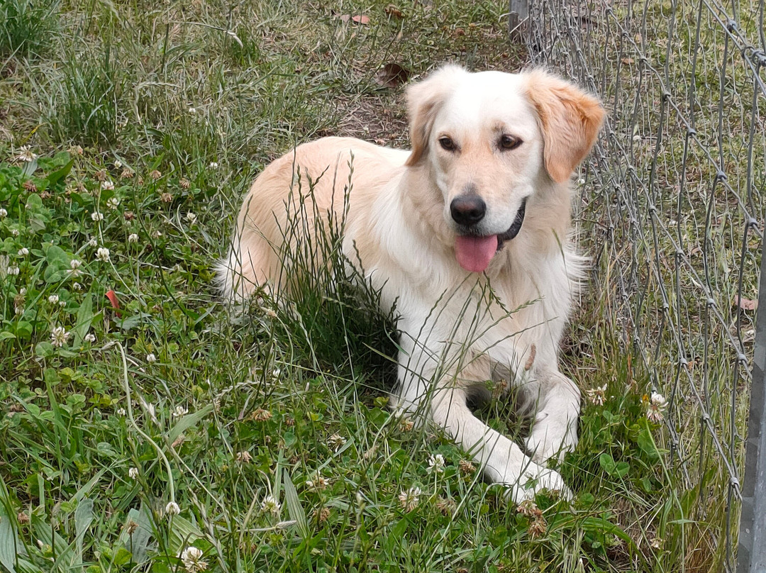 Bryn Glas Farm Stay主图