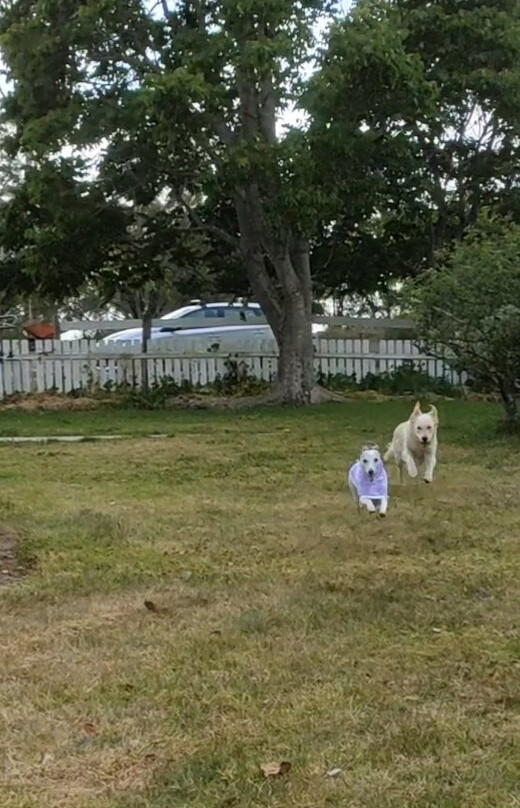 Bryn Glas Farm Stay主图