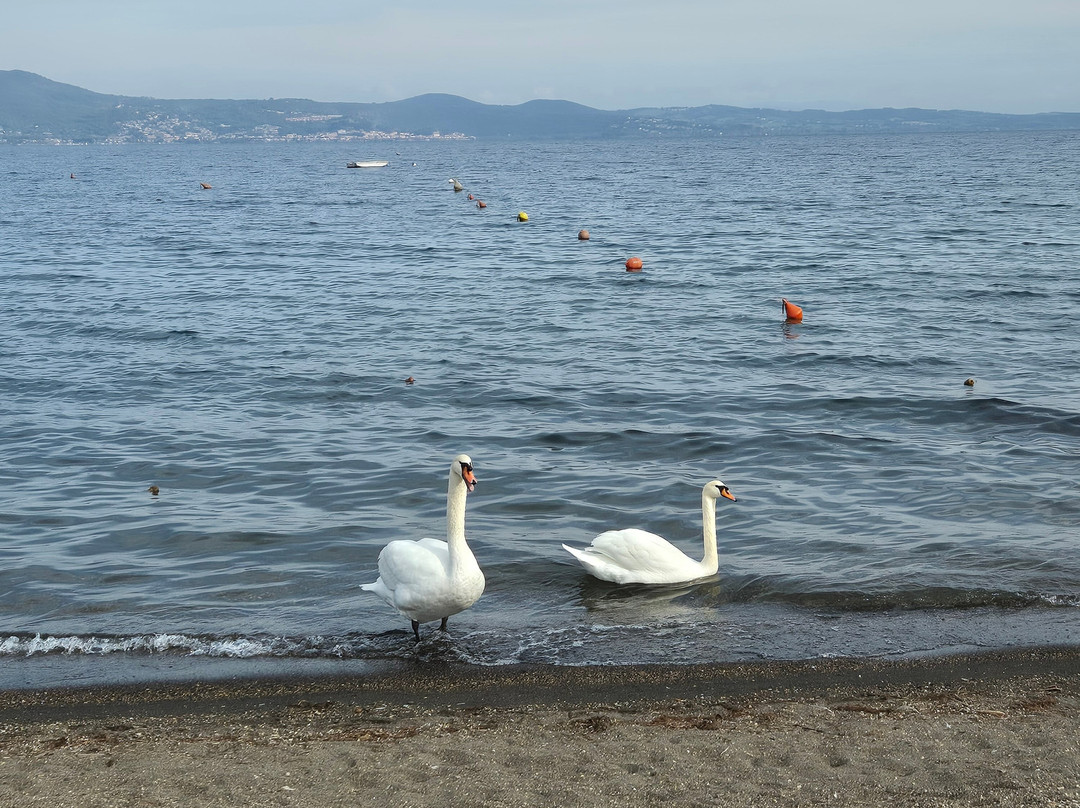 Lago di Bracciano-Province of Rome必去景点