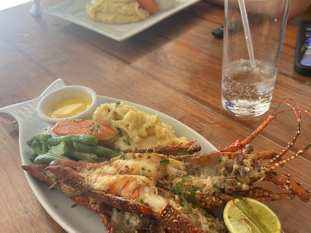 Airport Taxi Pop Tours Transfer Dominican Republic-普拉塔港必去景点