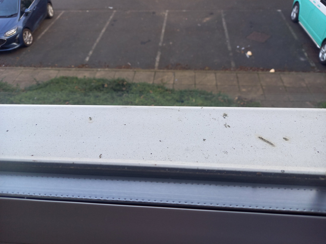 Travelodge Berwick upon Tweed主图