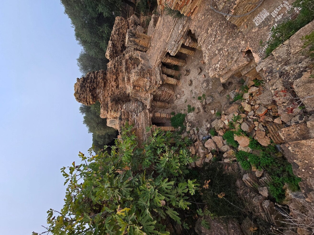 Ruines Romaines Tipaza景点图片