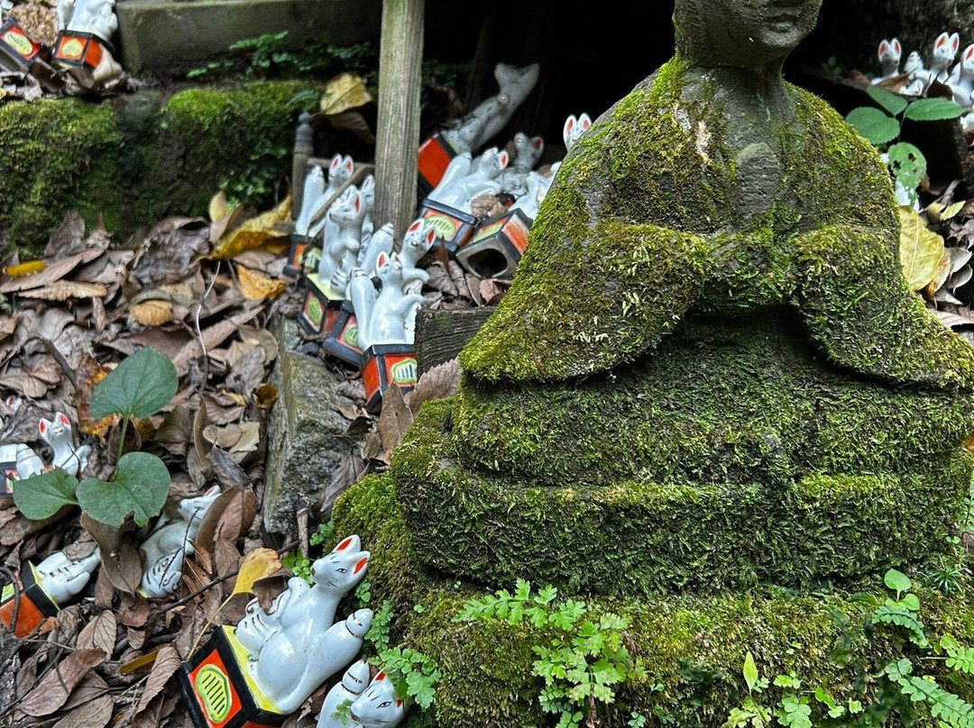 Sasuke Inari Shrine景点图片
