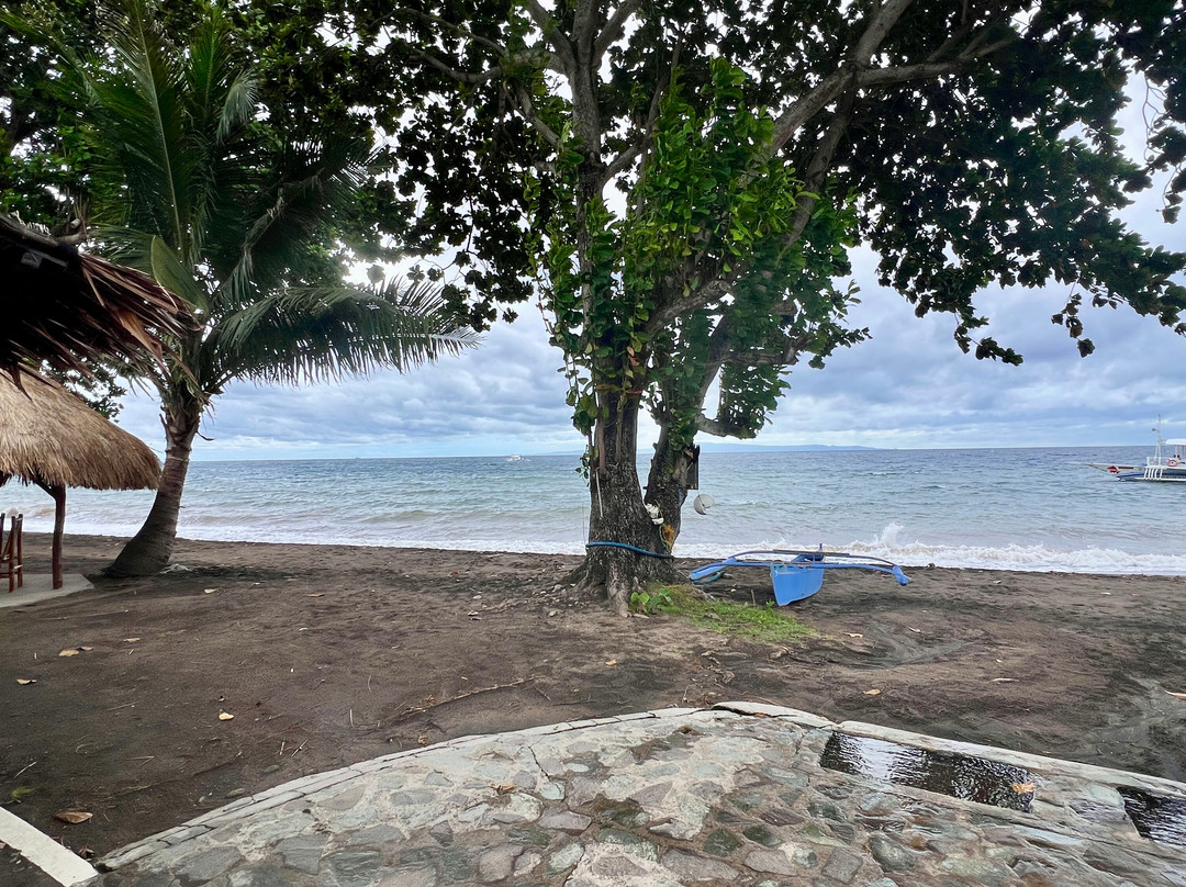 Pura Vida Beach & Dive Resort主图