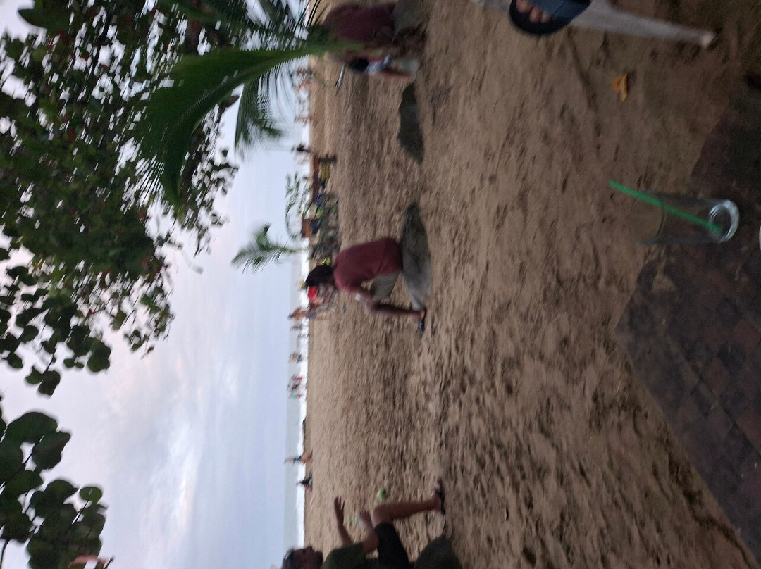Playa Cocles景点图片
