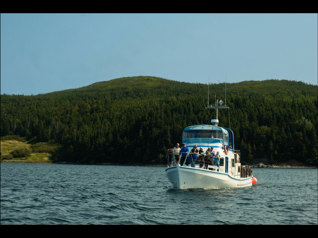 Woody Island Resort主图