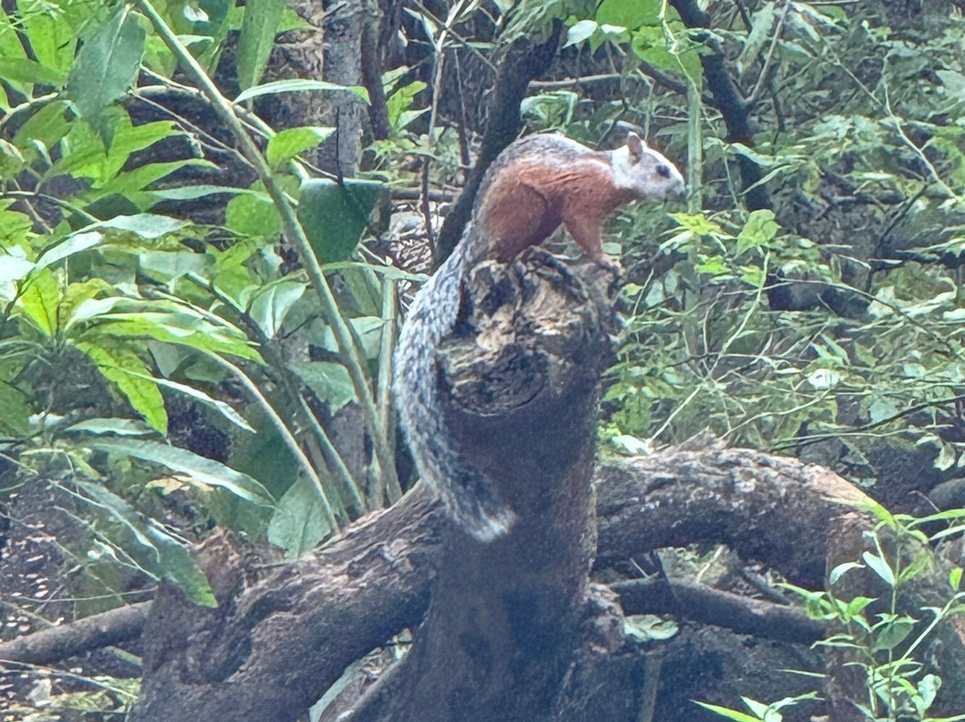 La Negra Surf Hotel主图