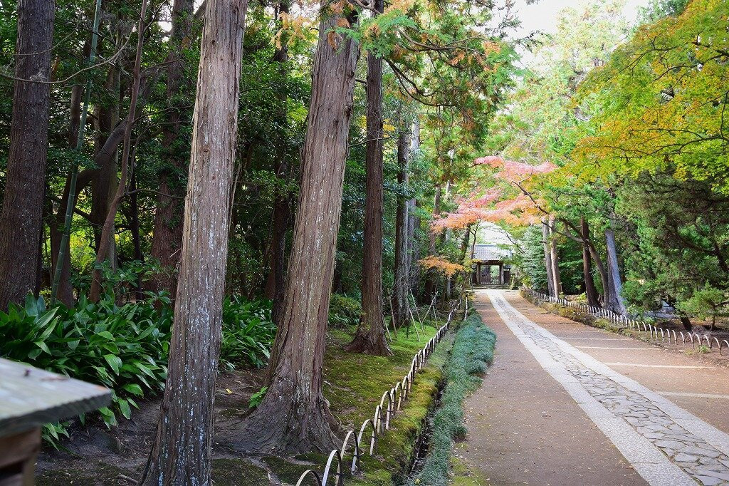 Jufukuji Temple-镰仓市必去景点