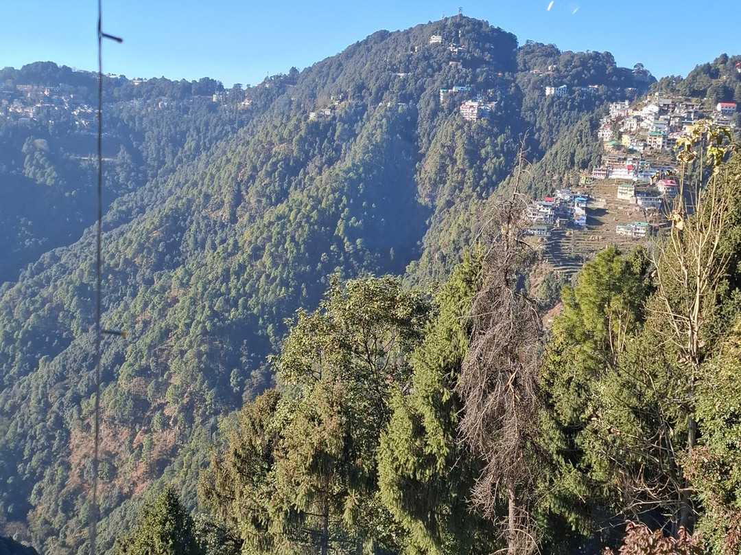 Best Western Dalhousie主图