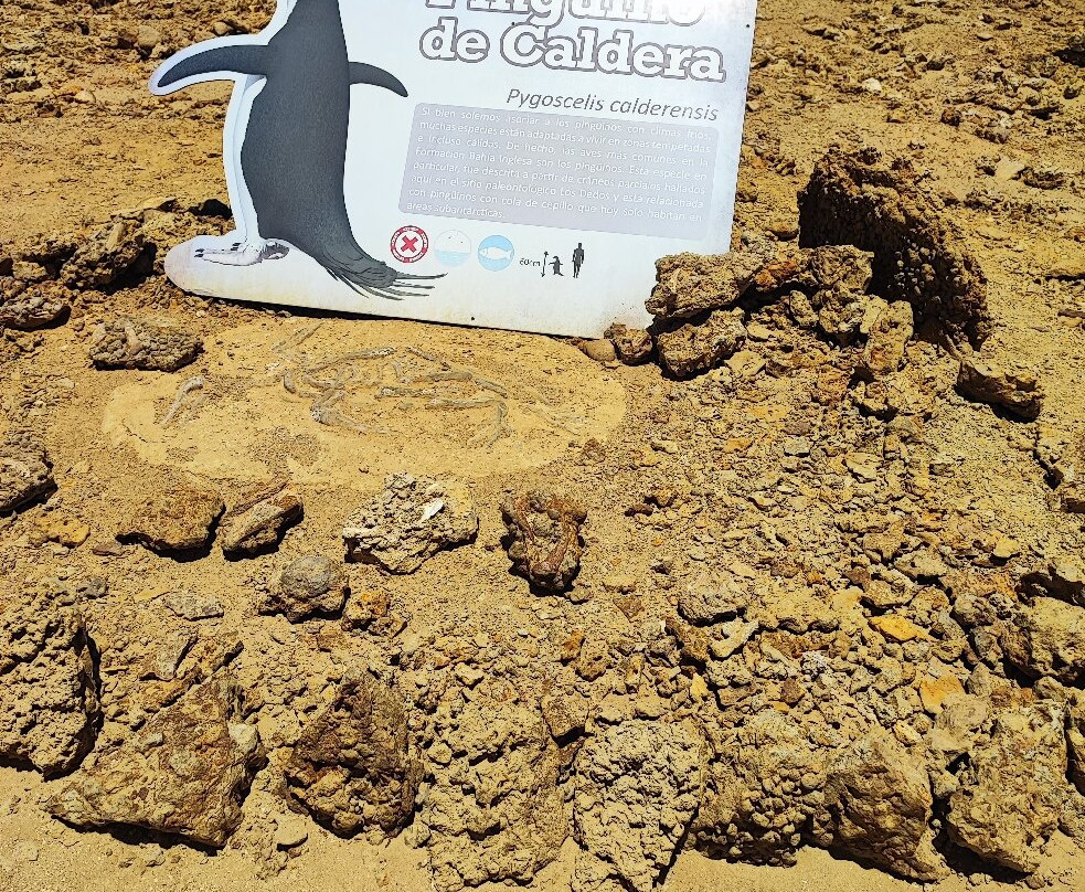 Parque Paleontologico De Caldera-Caldera必去景点