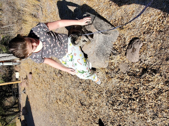 Davis Mountains State Park-Fort Davis必去景点