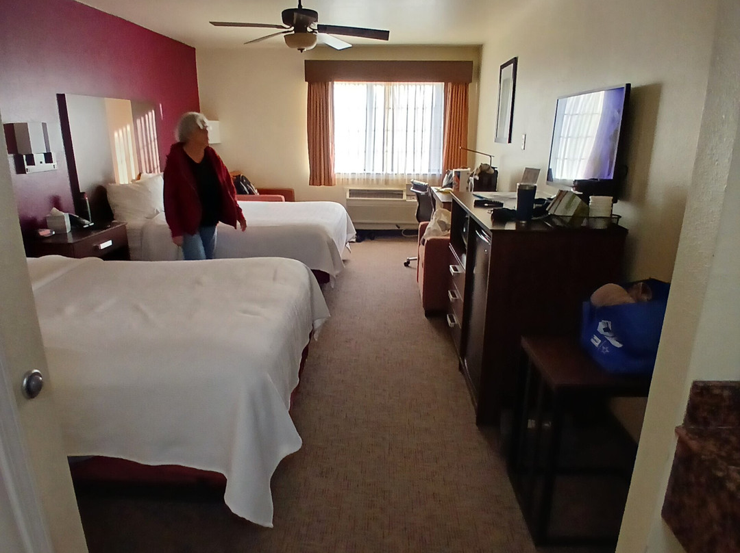 Best Western Pineywoods Inn主图