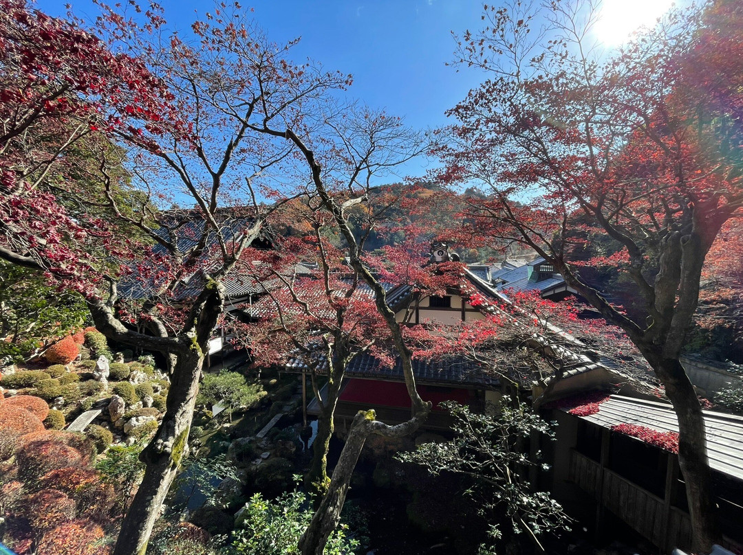 Yokokuji Temple-长冈京市必去景点