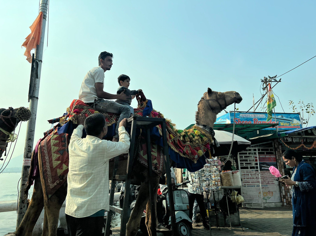 Fateh Sagar Lake景点图片