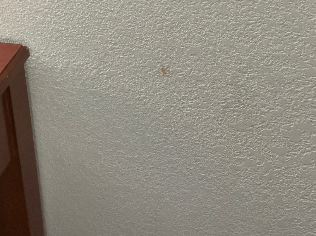 Best Western Plus Richmond Airport Hotel主图