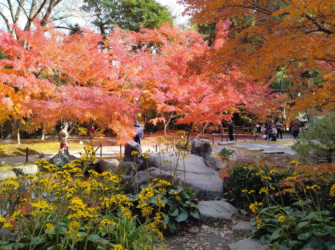 Nagaoka Tenmangu-长冈京市必去景点